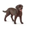 Schleich 13834 Labrador Retriever Teef 2 Schleich 13834 Labrador Retriever Teef -Kinderwereld Verkoop schleich 13834 labrador retriever teefje