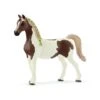 Schleich 13838 Pintabian Merrie Horse Club -Kinderwereld Verkoop schleich 13838 pintabian merrie