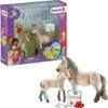 Schleich 42430 Hanna’s Verbanddoos Met Paarden HorseClub